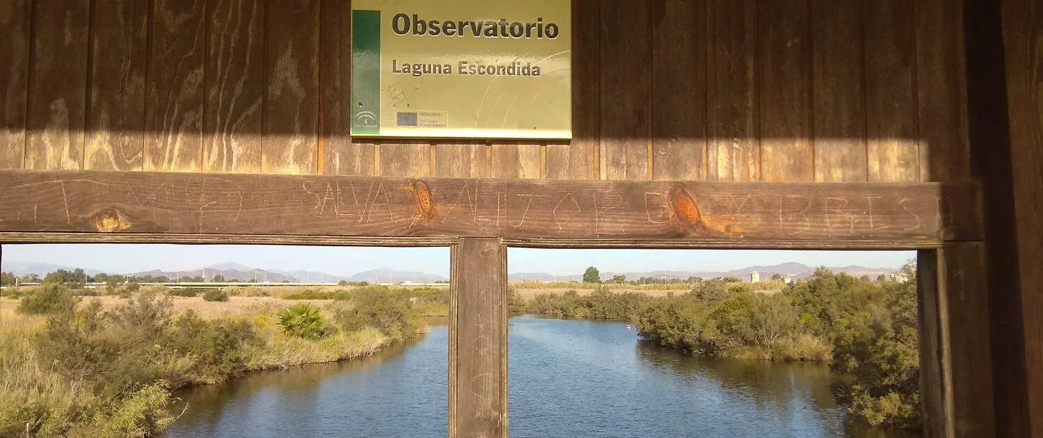 Guadalmarina - Playa, Naturaleza Y Ciudad 马拉加 0*,  西班牙